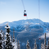 Best Winter Activities in the Sea to Sky Region to Embrace the Snowy Season